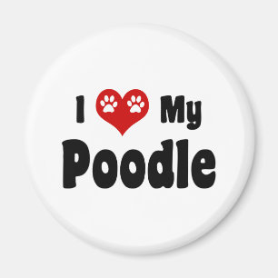 I Love My Poodle Magnet