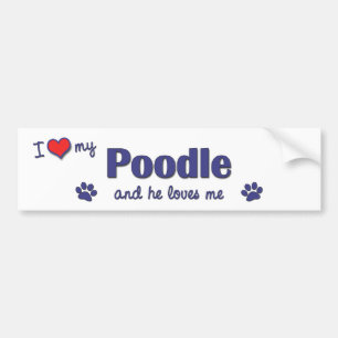 I Love My Poodle (Male Dog) Bumper Sticker