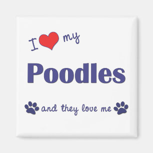 I Love My Poodles (Multiple Dogs) Magnet