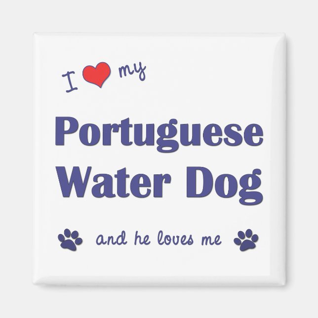 I Love My Portuguese Water Dog (Male Dog) Magnet (Front)