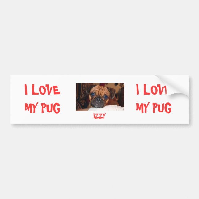 I LOVE MY PUG, IZZY, I LOVE MY PUG BUMPER STICKER (Front)