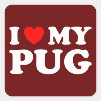 I Love My Pug With Red Heart Square Sticker