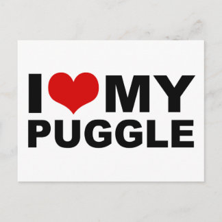 I Love My Puggle Red Heart Postcard