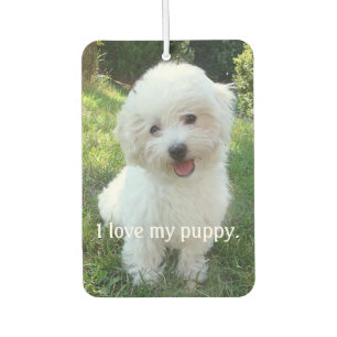 I love my puppy Car Air Freshener