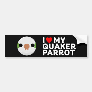 I LOVE MY QUAKER PARROT – normal Bumper Sticker