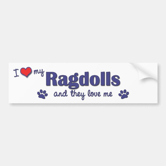 I Love My Ragdolls (Multiple Cats) Bumper Sticker (Front)