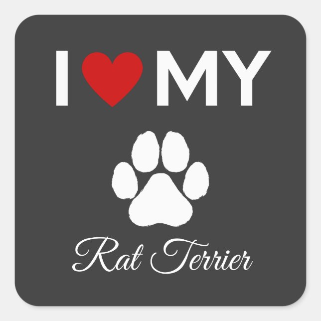 I love my Rat Terrier dog custom text Square Sticker (Front)