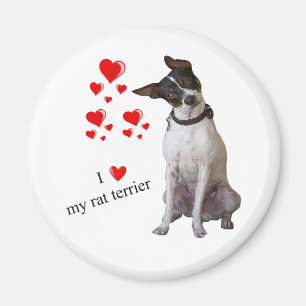 I Love my Rat Terrier Magnet