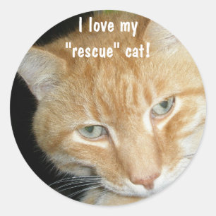 I love my"rescue" cat! Stickers