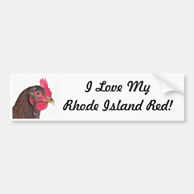 "I Love My Rhode Island Red" Bumper Sticker (Front)