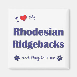 I Love My Rhodesian Ridgebacks (Multiple Dogs) Magnet