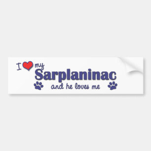 I Love My Sarplaninac (Male Dog) Bumper Sticker