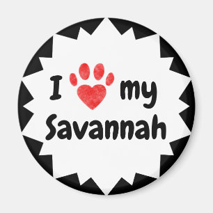 I Love My Savannah Cat Magnet