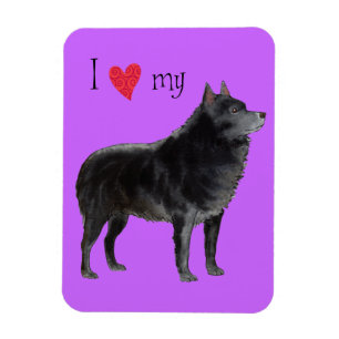 I Love my Schipperke Magnet