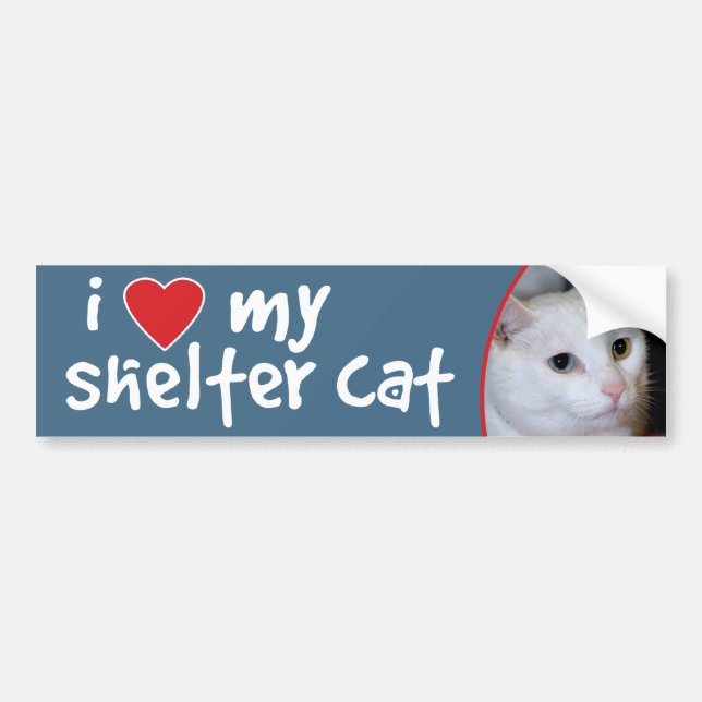 I Love My Shelter Cat Bumper Sticker-All-White Cat Bumper Sticker (Front)