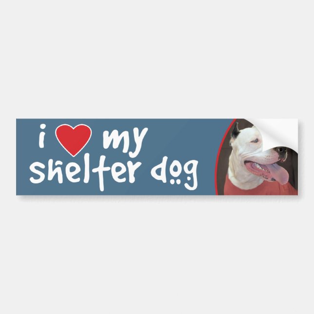 I Love My Shelter Dog-Pitbull Bumper Sticker/Decal Sticker (Front)