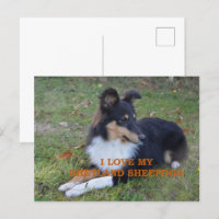 I Love My Shetland Sheepdog Black Tri