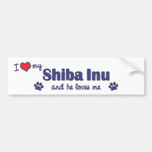 I Love My Shiba Inu (Male Dog) Bumper Sticker