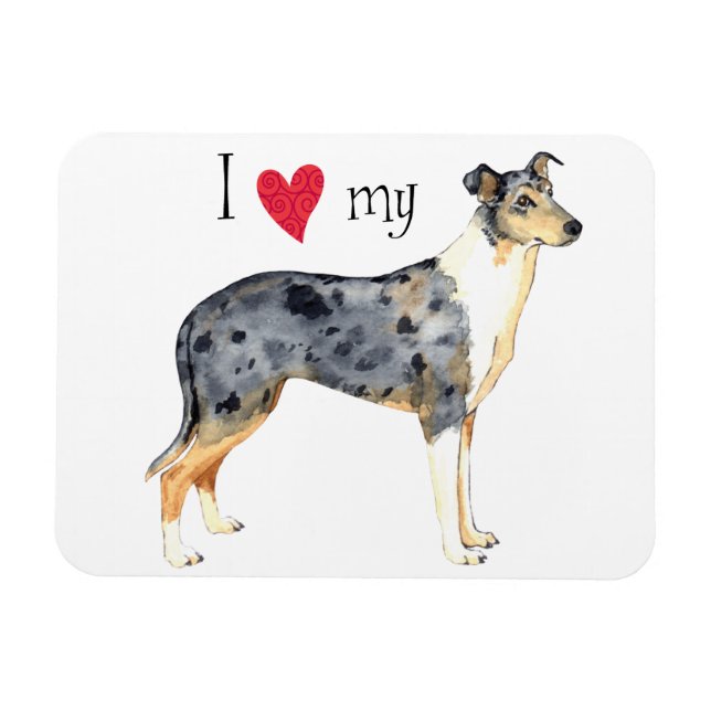 I Love my Smooth Collie Magnet (Horizontal)