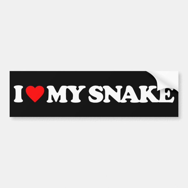 I LOVE MY SNAKE BUMPER STICKER (Front)