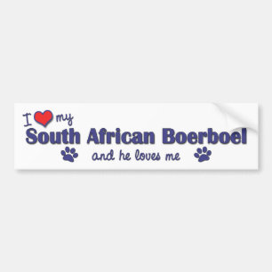 I Love My South African Boerboel (Male Dog) Bumper Sticker
