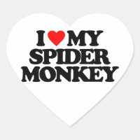 I LOVE MY SPIDER MONKEY