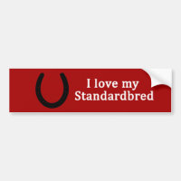 I Love My Standardbred Horse