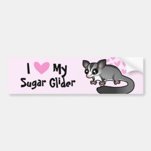 I Love My Sugar Glider Bumper Sticker