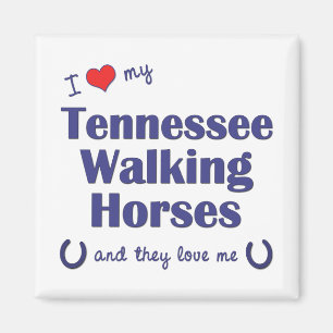 I Love My Tennessee Walking Horses (Multi Horses) Magnet