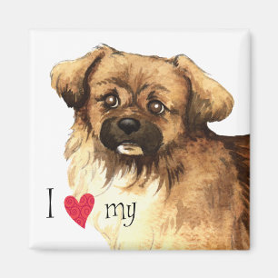 I Love my Tibetan Spaniel Magnet
