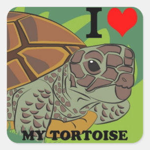 I Love My Tortoise Square Sticker