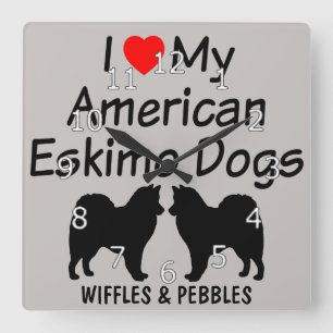 I Love My Two American Eskimo Dogs Square Wall Clock