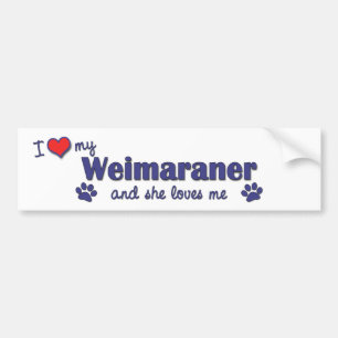 I Love My Weimaraner (Female Dog) Bumper Sticker