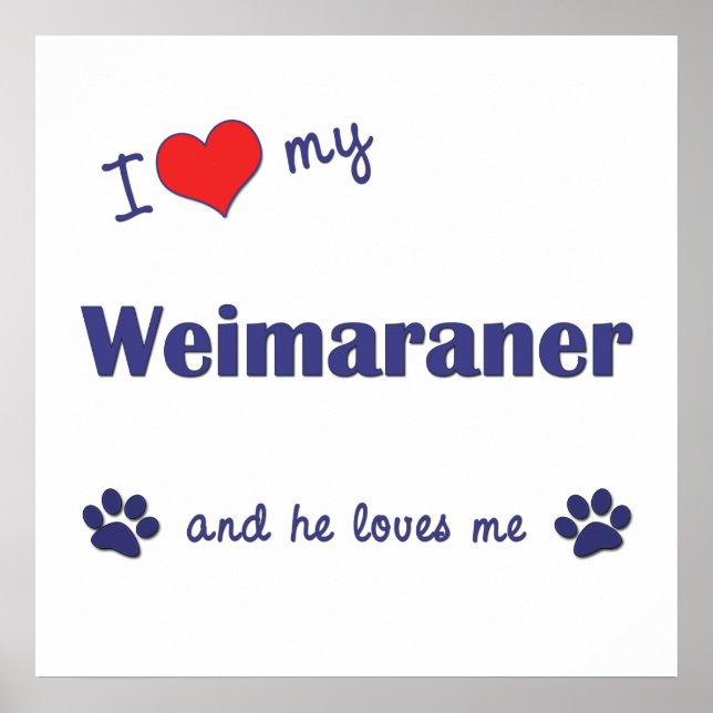 I Love My Weimaraner (Male Dog) Poster (Front)