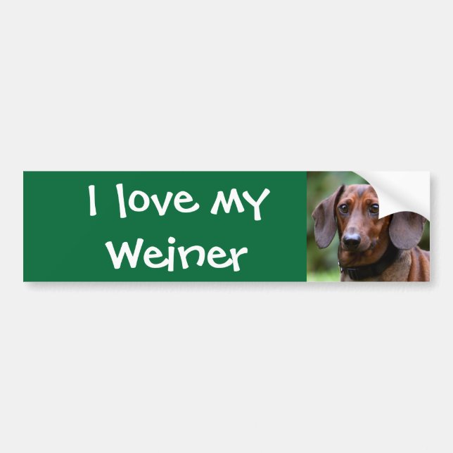 I love my Weiner Bumper Sticker (Front)