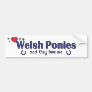 I Love My Welsh Ponies (Multiple Ponies) Bumper Sticker