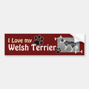 I love my Welsh Terrier Bumper Sticker