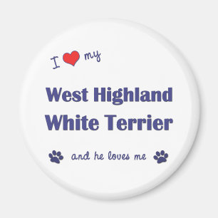 I Love My West Highland White Terrier (Male Dog) Magnet
