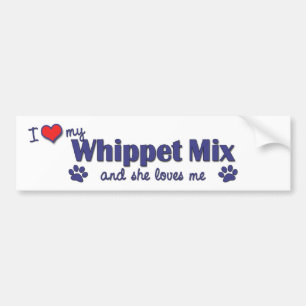 I Love My Whippet Mix (Female Dog) Bumper Sticker