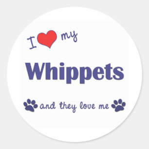 I Love My Whippets (Multiple Dogs) Classic Round Sticker