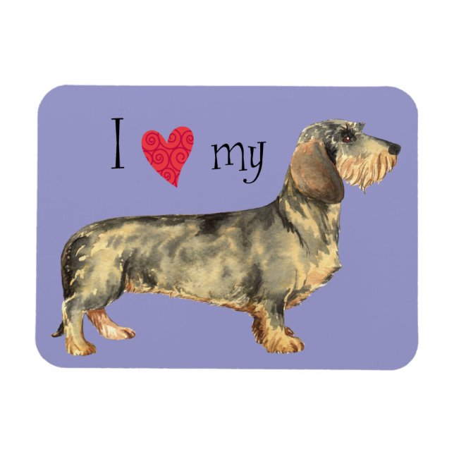 I Love my Wirehaired Dachshund Magnet (Horizontal)
