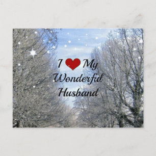 I Love My Wonderful Husband (larger text) Postcard