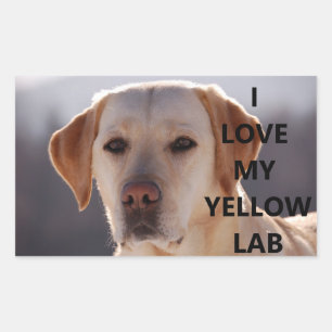 I Love My Yellow Lab with Picture Rectangular Sticker