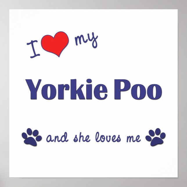 I Love My Yorkie Poo (Female Dog) Poster (Front)