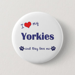 I Love My Yorkies (Multiple Dogs) 6 Cm Round Badge