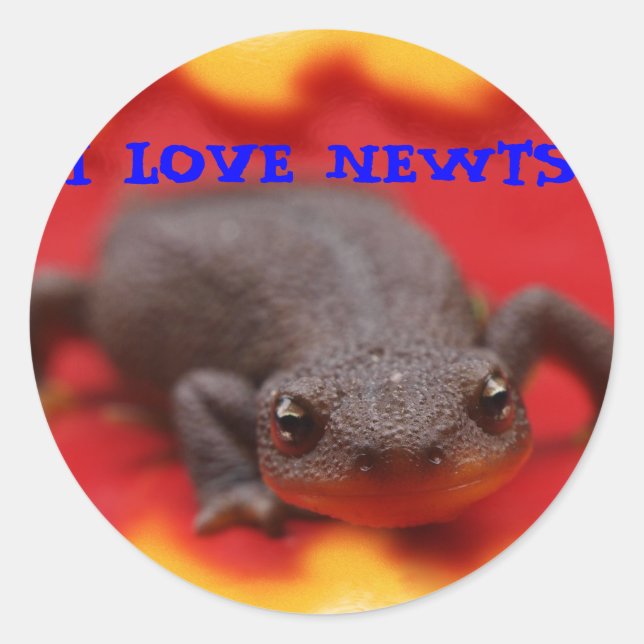 I Love Newts Classic Round Sticker (Front)
