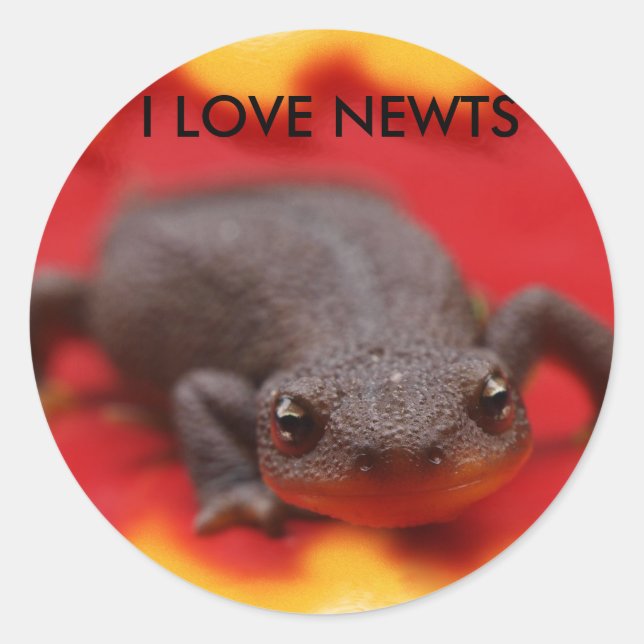 I Love Newts Classic Round Sticker (Front)