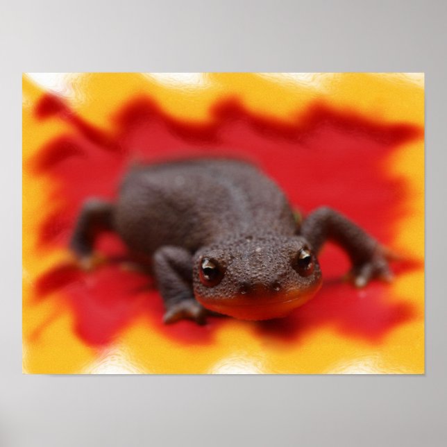 I Love Newts Fine Art Prints (Front)