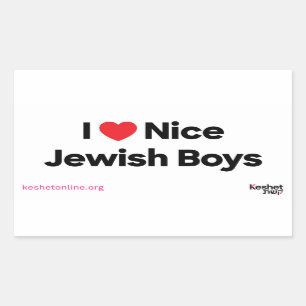 I Love Nice Jewish Boys Sticker Sheet