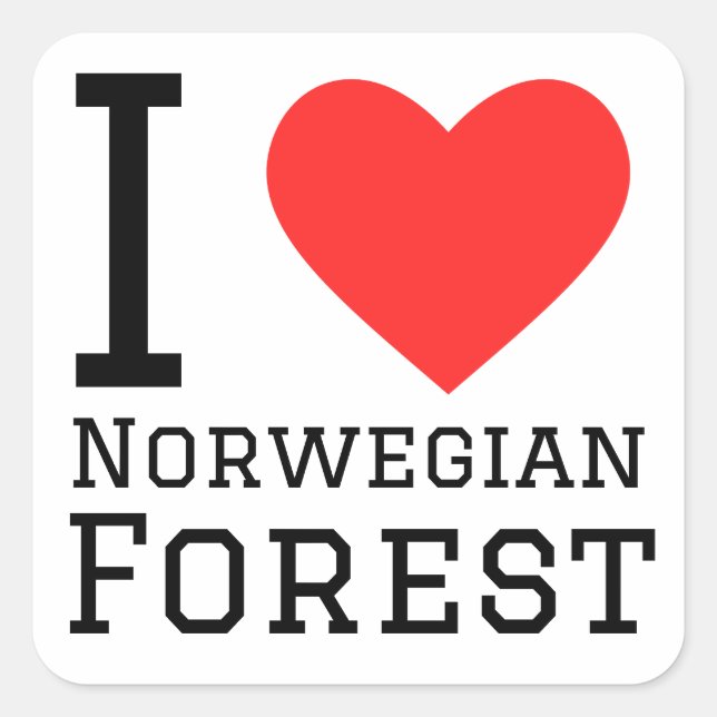 I love Norwegian forest Square Sticker (Front)